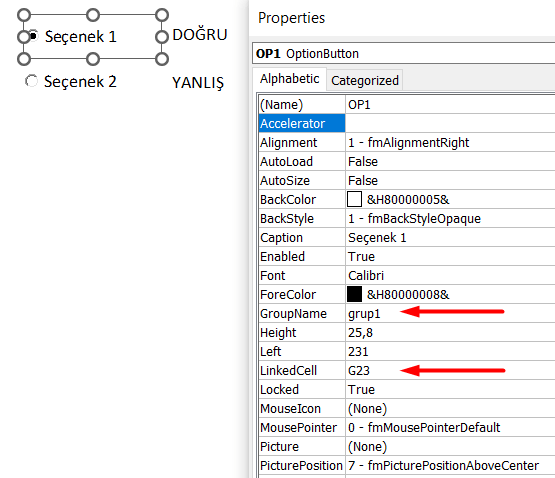 Option Button - Excel Gezegeni option button