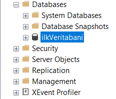 Veri Tabanı Oluşturma - Excel Gezegeni Veri Tabanı Oluşturma