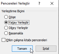 Birden Çok Çalışma Kitabını Görüntüleme