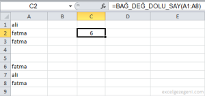 Boş veya Boş Olmayan Hücreleri Saymak - Excel Gezegeni Boş veya Boş Olmayan Hücreleri Saymak