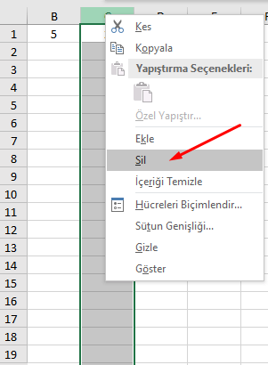 Formül Hataları