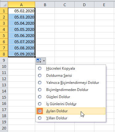 Otomatik Doldur Özelliği - Excel Gezegeni Otomatik Doldur Özelliği