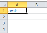 Otomatik Doldur Özelliği - Excel Gezegeni Otomatik Doldur Özelliği