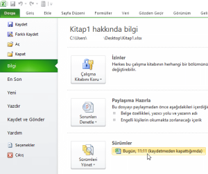 Otomatik Kurtarma - Excel Gezegeni Otomatik Kurtarma