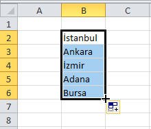 Özel Listeler