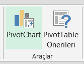 Pivot Grafik - Excel Gezegeni Pivot Grafik