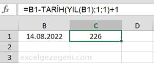 Yılın Kaçıncı Günü